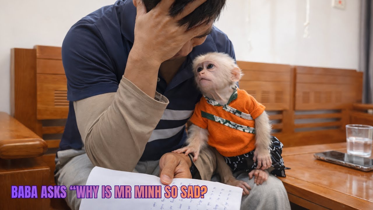 What happened when Mr. Minh learned that Xu’s mother had taken her away?