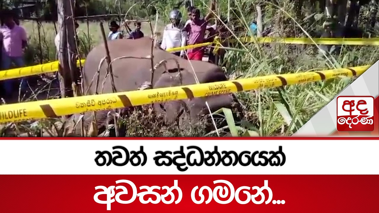 තවත් සද්ධන්තයෙක් අවසන් ගමනේ... | Ada Derana