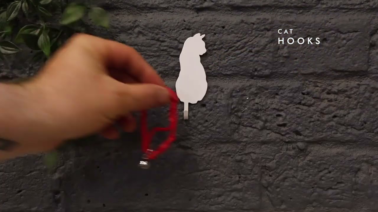 Cat & Dog Hooks - Suck UK