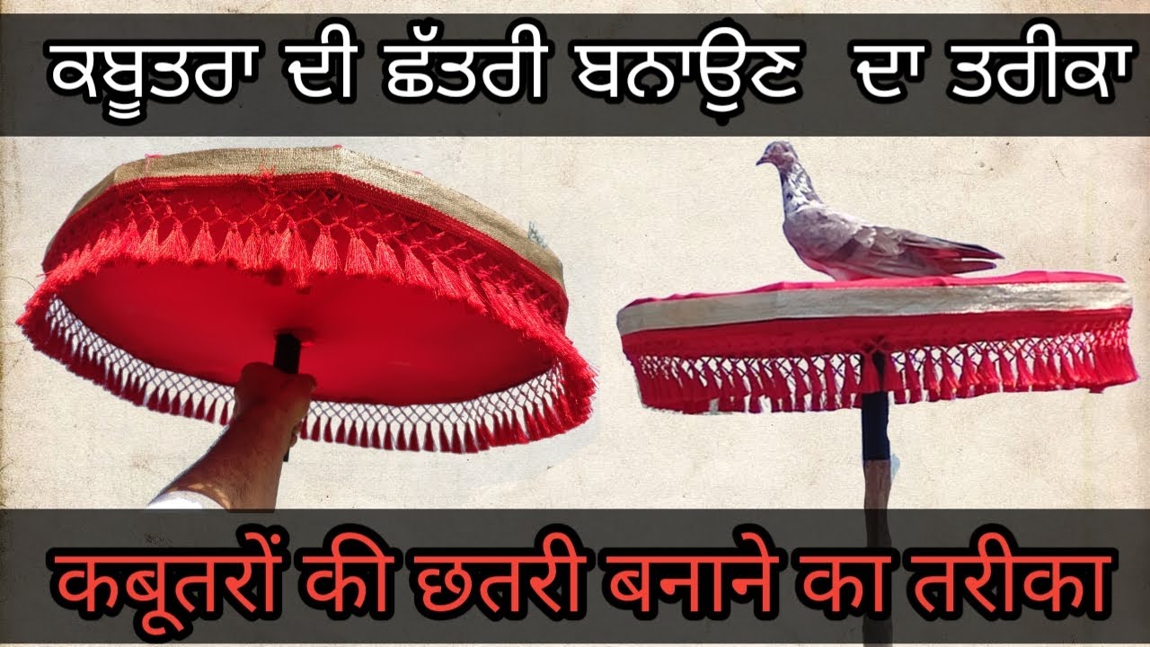 कबूतरों की छतरी बनाने का तरीका, ਕਬੂਤਰਾ ਦੀ ਛੱਤਰੀ ਬਨਾਉਣ  ਦਾ ਤਰੀਕਾ || kabootar chatri design, kabootar