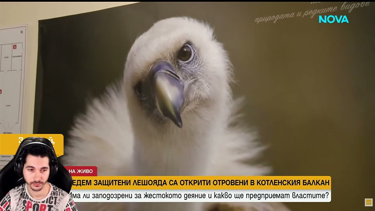 Здравей Бълхария.Мръсни боклуци тровят животни.ДА УМРЕЕ