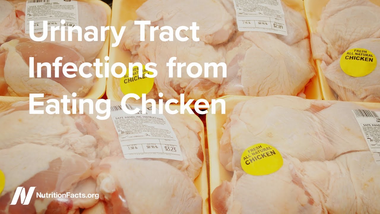 Urinary Tract Infections from Eating Chicken