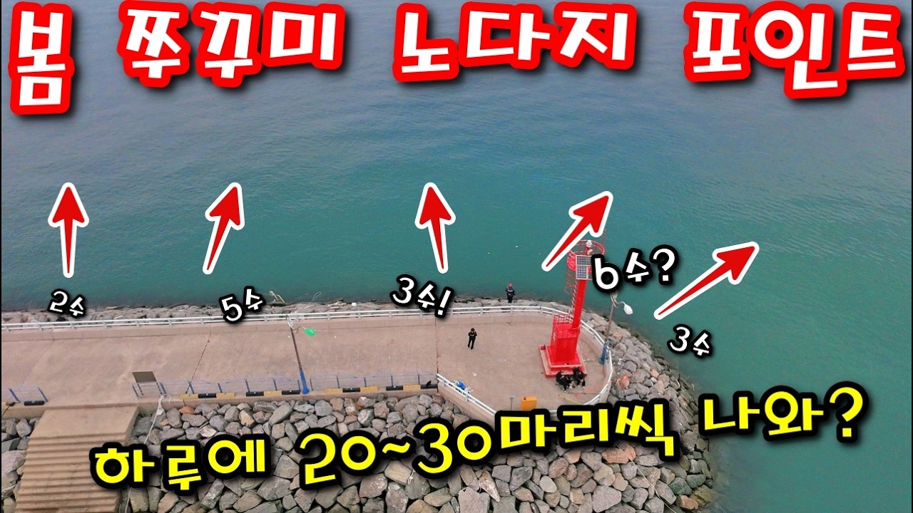 워킹 봄쭈꾸미낚시 미친 포인트를 찾았다! 하루에 20~30마리씩?