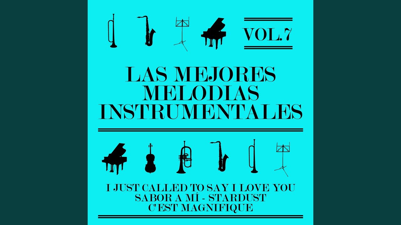 No Llores por Mi Argentina (Instrumental Version)