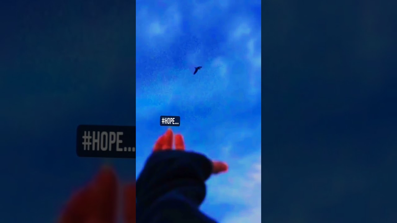 #hope#determination