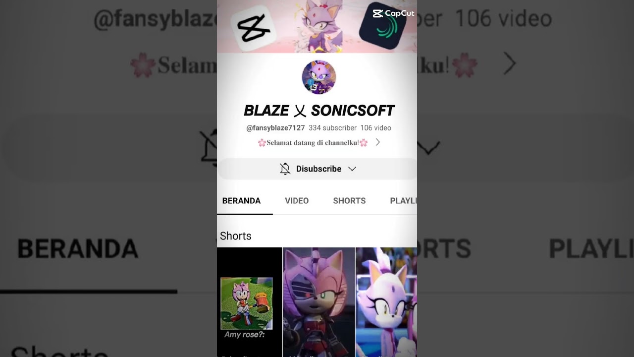 Collab with Sonicsoft Squad | @Kei_Nine_editz,@hrzryxxxx,@Ilonathedogday,@Dei127 & all