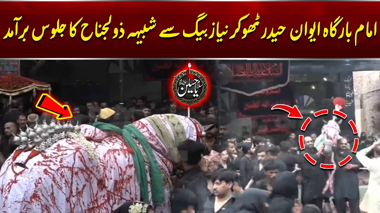 10th Muharram 2025 | Imam Bargha Aiwan -E- Haider Thokhar Say Shabih-E-Zuljinnah Baramad  | City 42