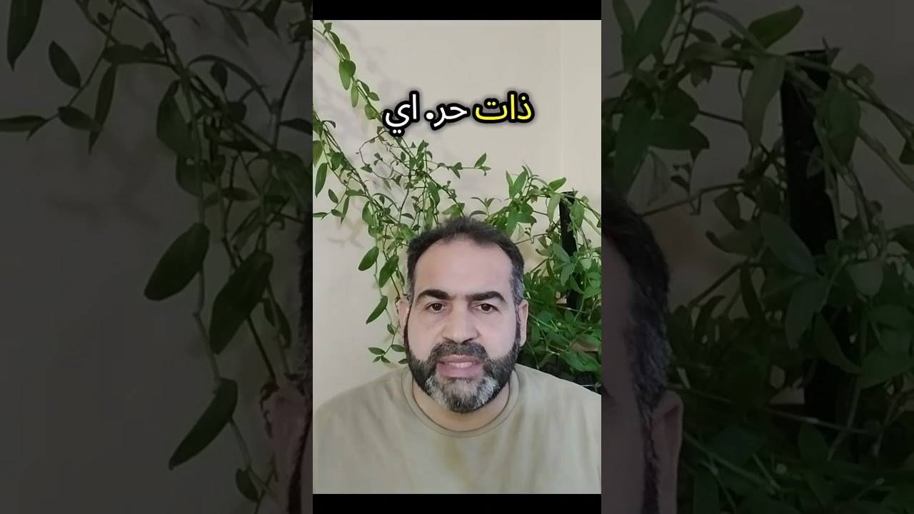 ١١ يناير ٢٠٢٦