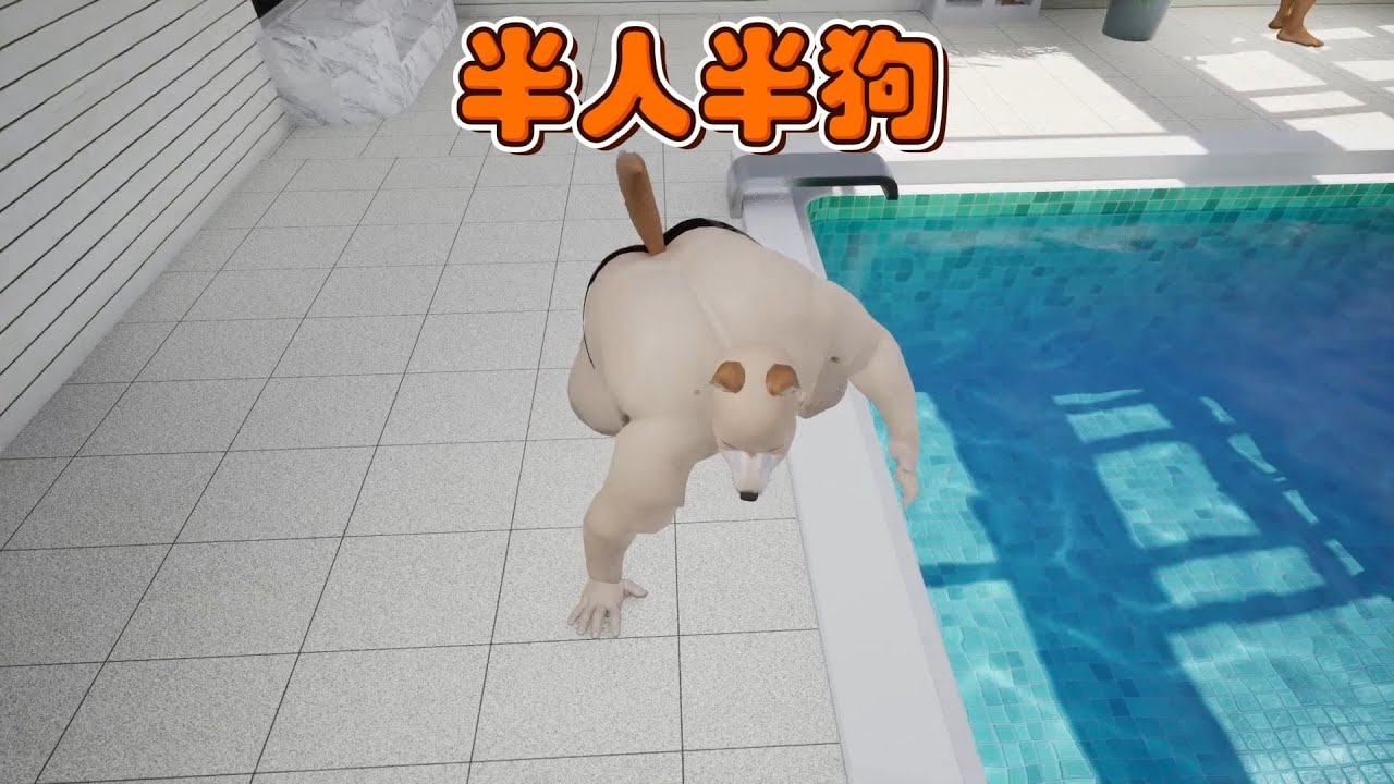 有人COS了一条狗！奇怪的游泳池