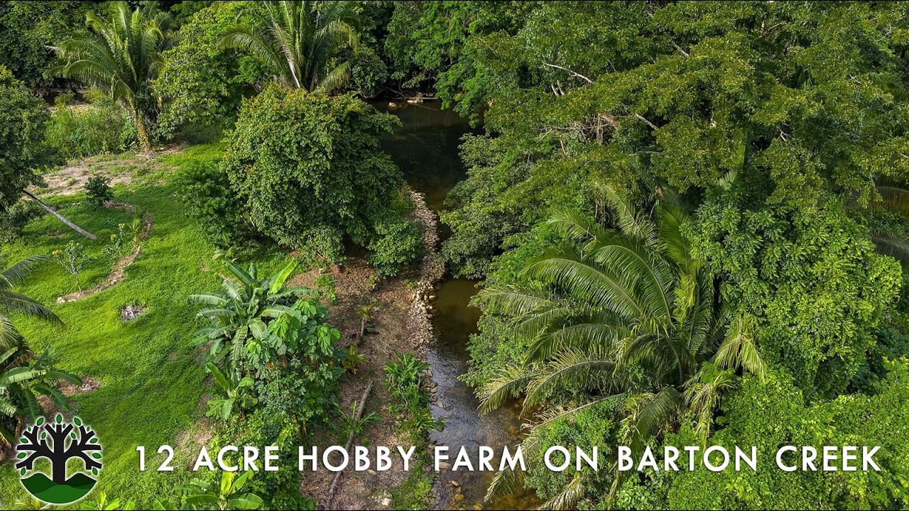 12 Acre Hobby Farm in Barton Creek, Belize | 1200 ft. of Creek Frontage