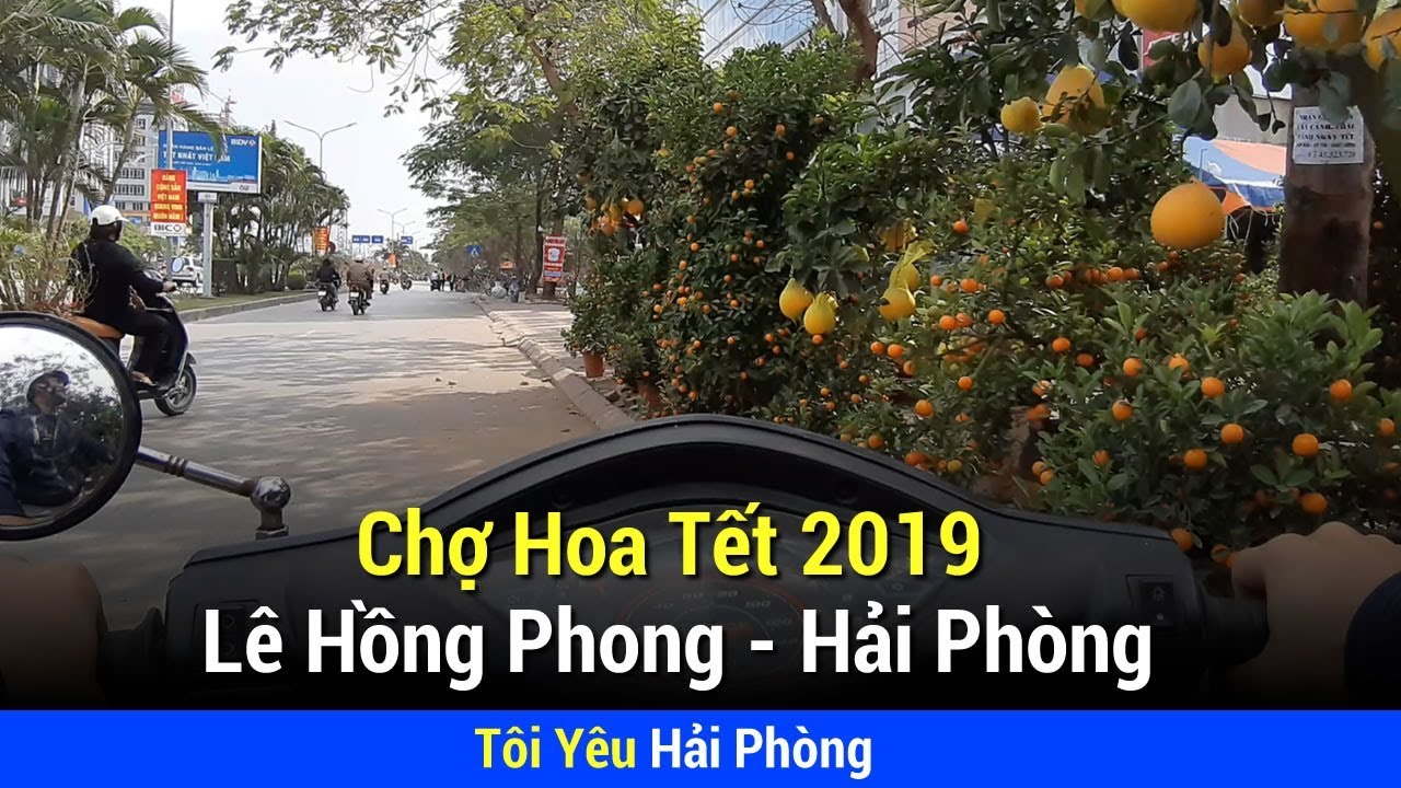 Chợ hoa Tết 2019 đường L&ecirc; Hồng Phong tại Hải Ph&ograve;ng