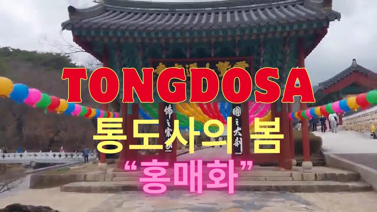 통도사의 봄 