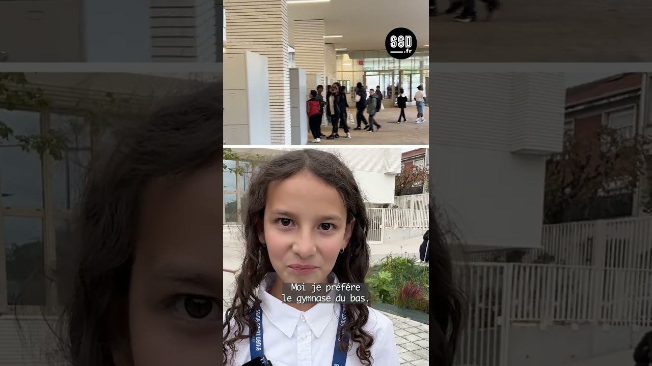 inauguration du nouveau collège de La Courneuve, Niki-de-Saint-Phalle