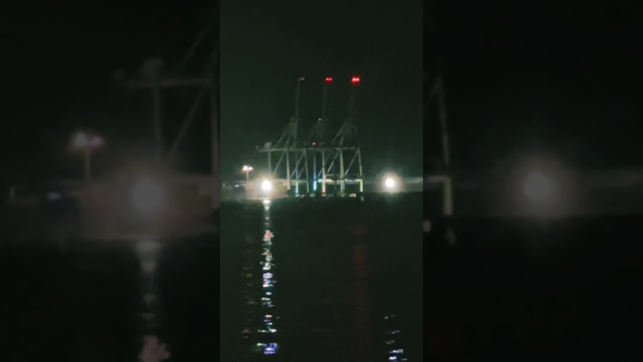清水港のキングギドラ