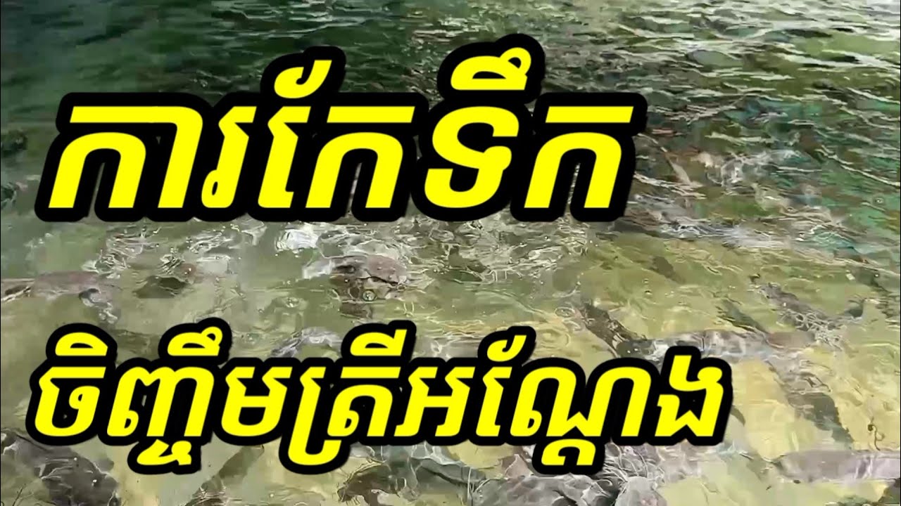 មូលហេតុទឹកខូច/ការកែទឹក/គុណប្រយោជន៍ការកែទឹក/why pH change