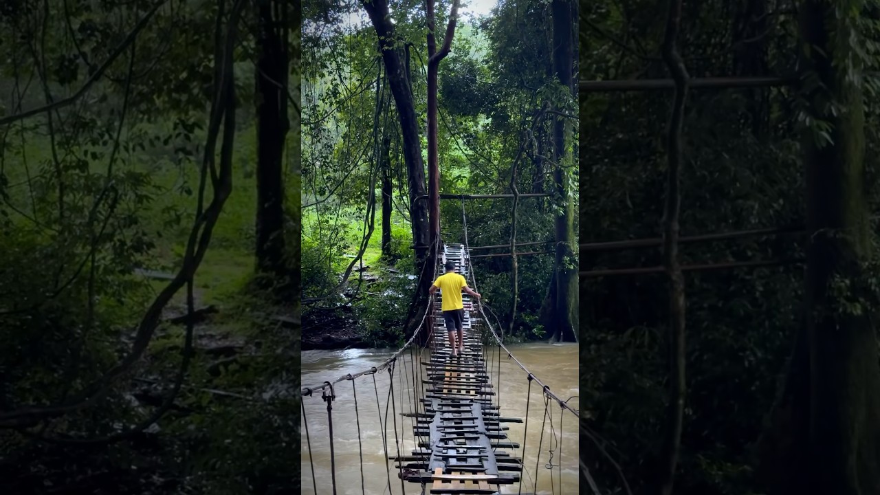 Kerala Karnataka border 💚