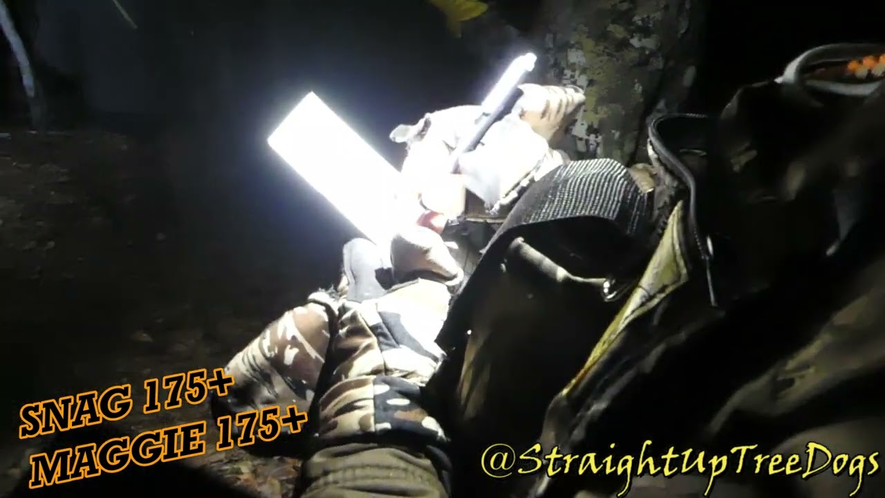 SUTD LIVE Coon Hunting! KING OF SOUTHWEST! Round 16!