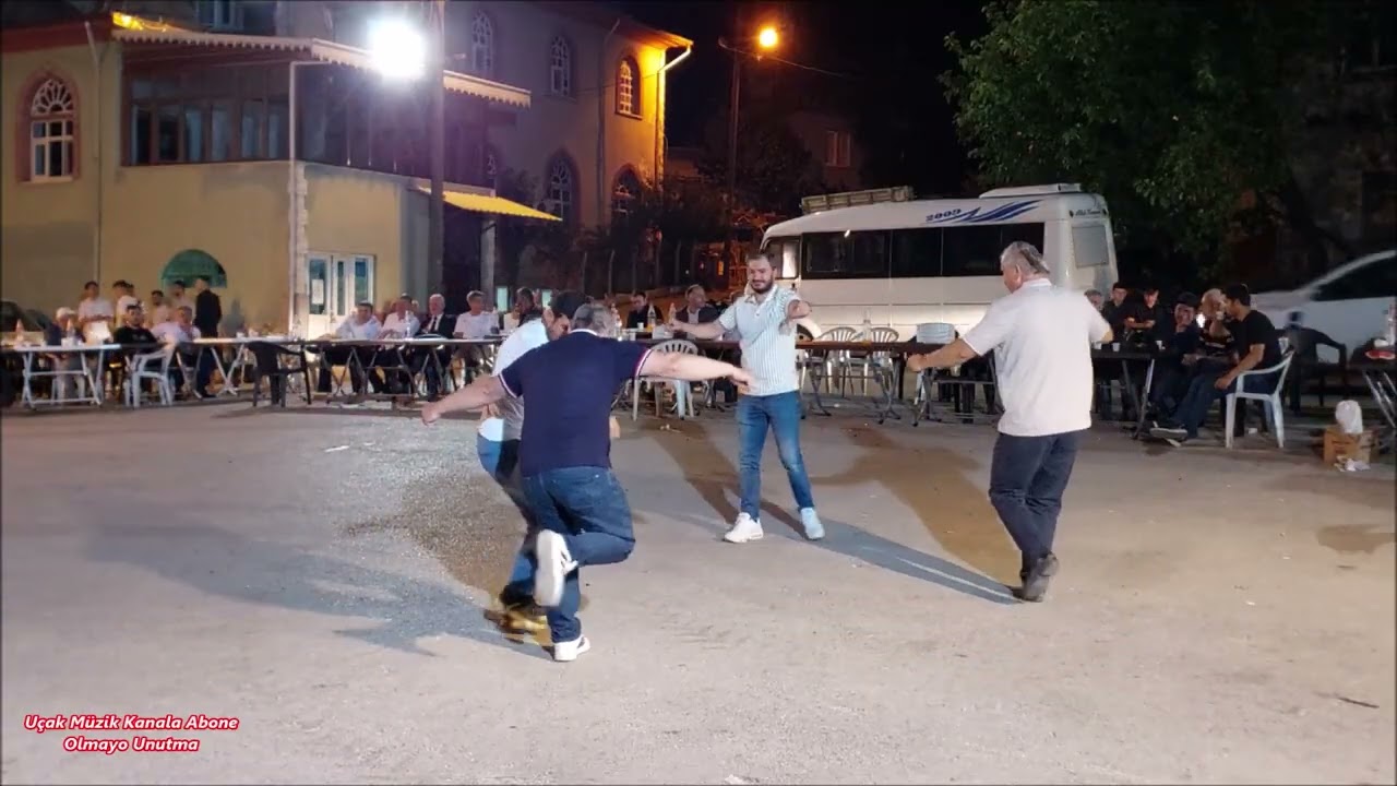 Bal yapmayan Arıdan Bahcede Erik Dalı Kıyıdan 2025 İlk Kez Yayında Ahmet Taş HD video