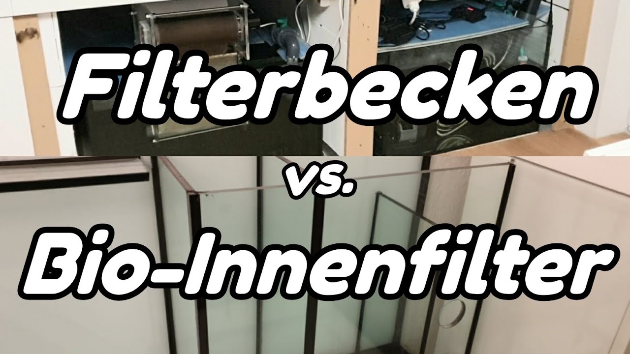 Filterbecken vs. Bio-Innenfilter - Was ist die bessere Wahl beim XXL-Aquarium?