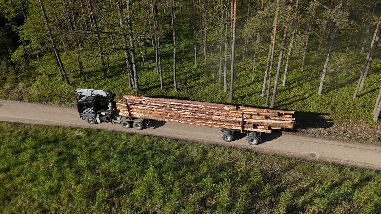 Z życia drzewiarza. Załadunek i transport drewna długiego 18m