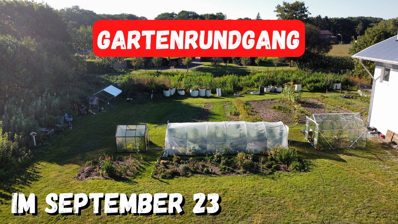 Gartenrundgang September - Gemüsegarten, Stauden, Hochbeete, Hühner 🐓🧑🏻‍🌾🍅
