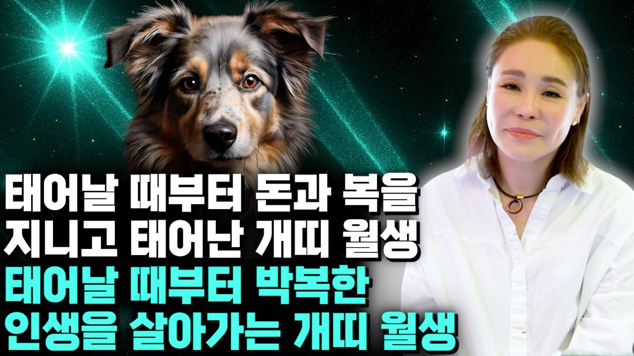 ‘개띠’ 말년에 대박나는 월생은?! / 태어난 월로 보는 개띠운세 [1월생~12월생] / 태어날때부터 돈과 복을 쥐고 태어난 개띠 월생은?! 58년생 70년생 82년생 94년생