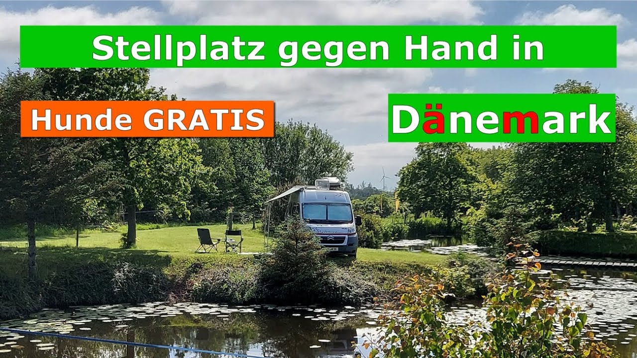 8 🇩🇰 DK #GRATIS #StellplatzgegenHand #Fjordviking #Wohnmobil #Campervan #CampingmitHund #lgtb