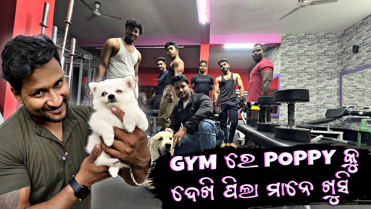 GYM ରେ POPPY କୁ ଦେଖି ପିଲା ମାନେ ଖୁସି