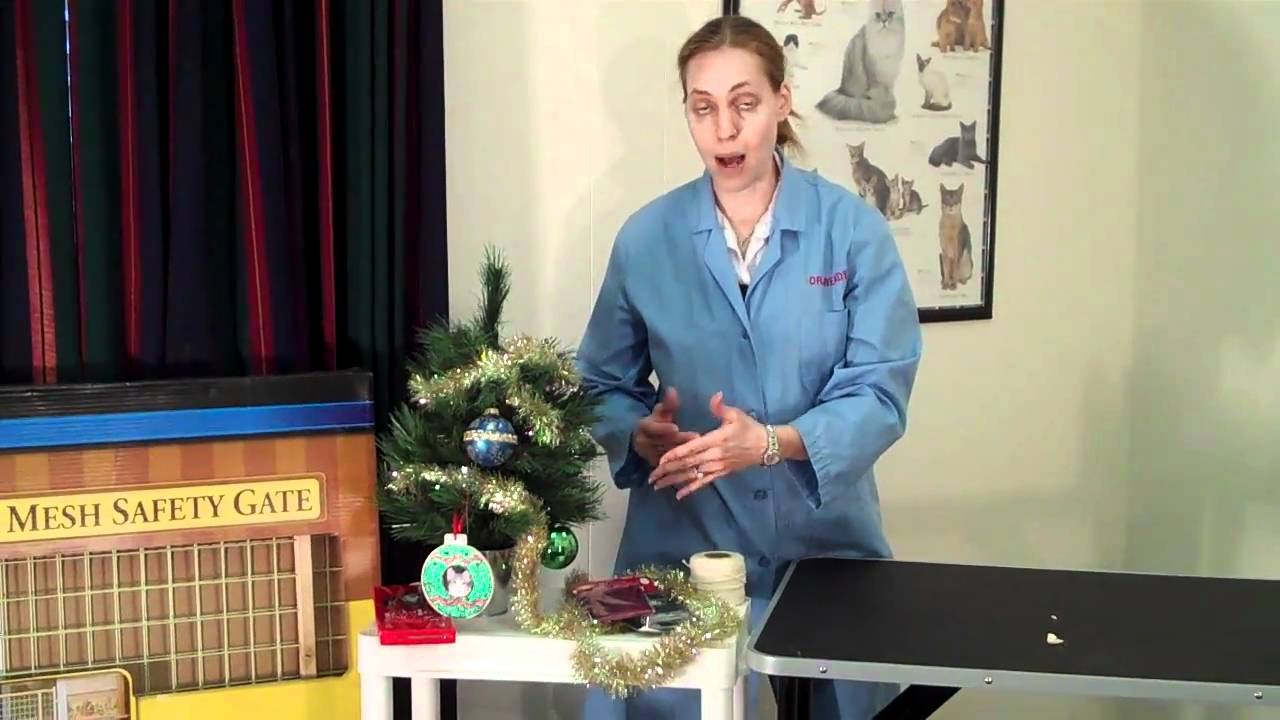 Holiday Decorating Hazards for Pets