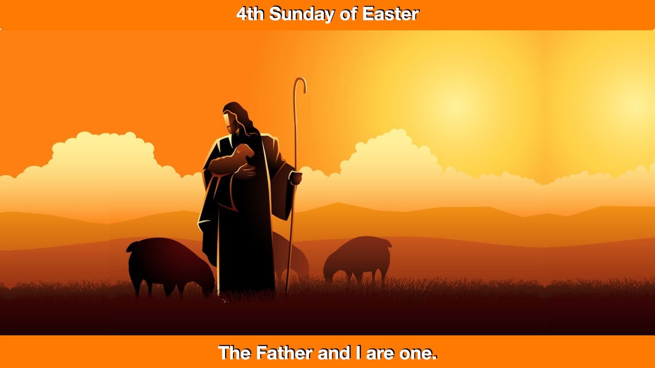 The Father and I are one.  Homily for the 4th Sunday of Easter, Year C.