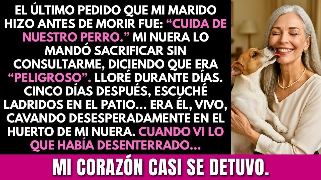 Mi nuera sacrificó al perro que mi difunto esposo me dejó para “cuidar”. Días después, lo encontré…