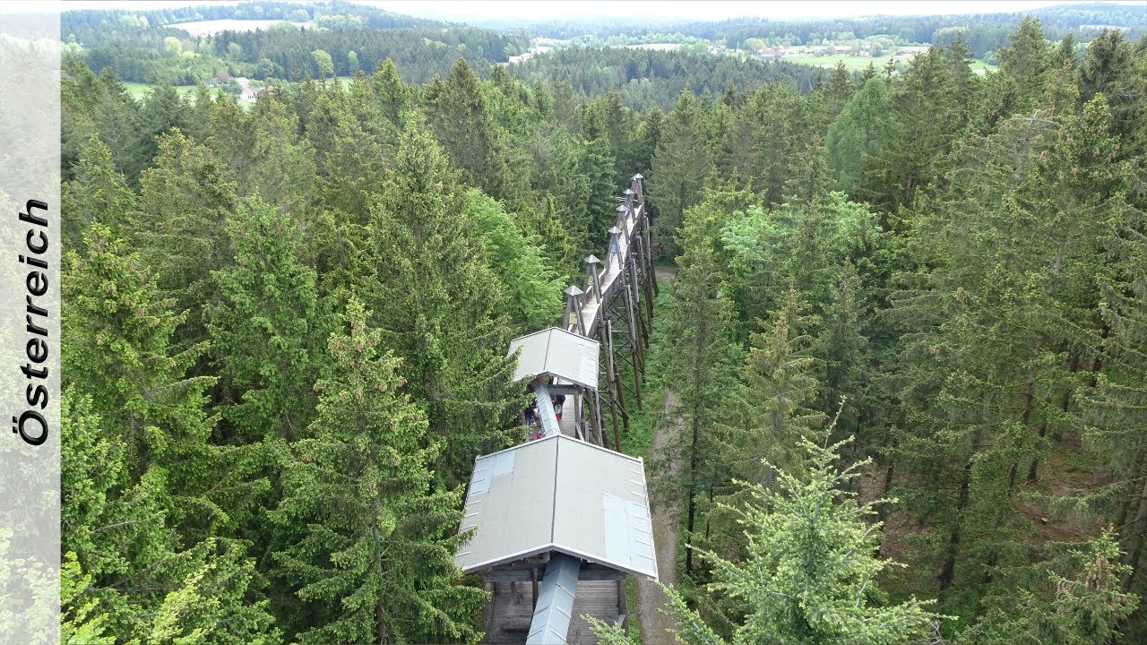 Baumkronenweg in Kopfing