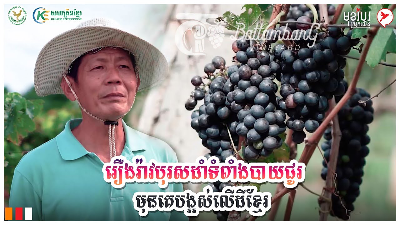 រឿងរ៉ាវបុរសដាំទំពាំងបាយជូរមុនគេបង្អស់លើដីខ្មែរ | កម្មវិធីមុខរបរស្រុកយើង