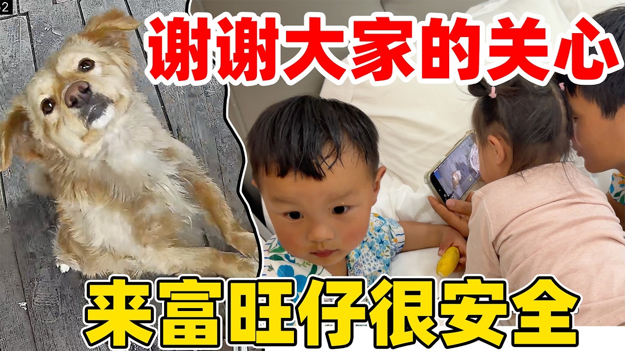 来富旺仔很好，谢谢大家的关心，我们每天都在看它门的动态