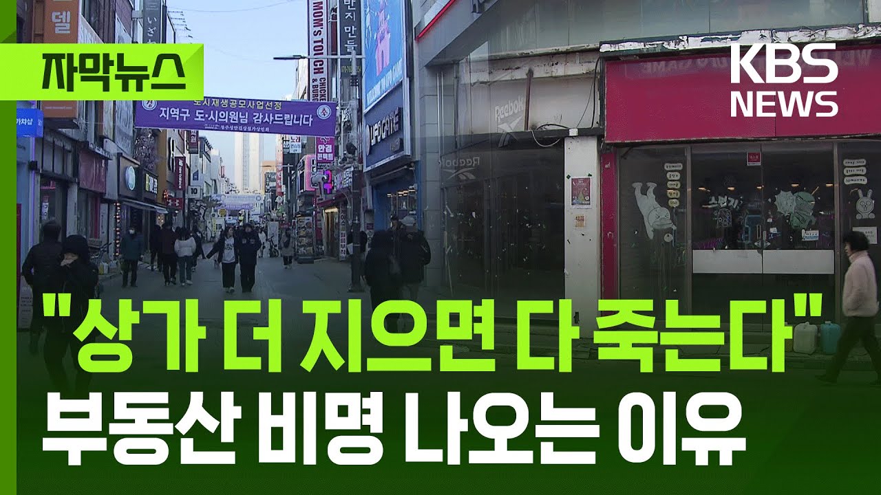 [자막뉴스] 
