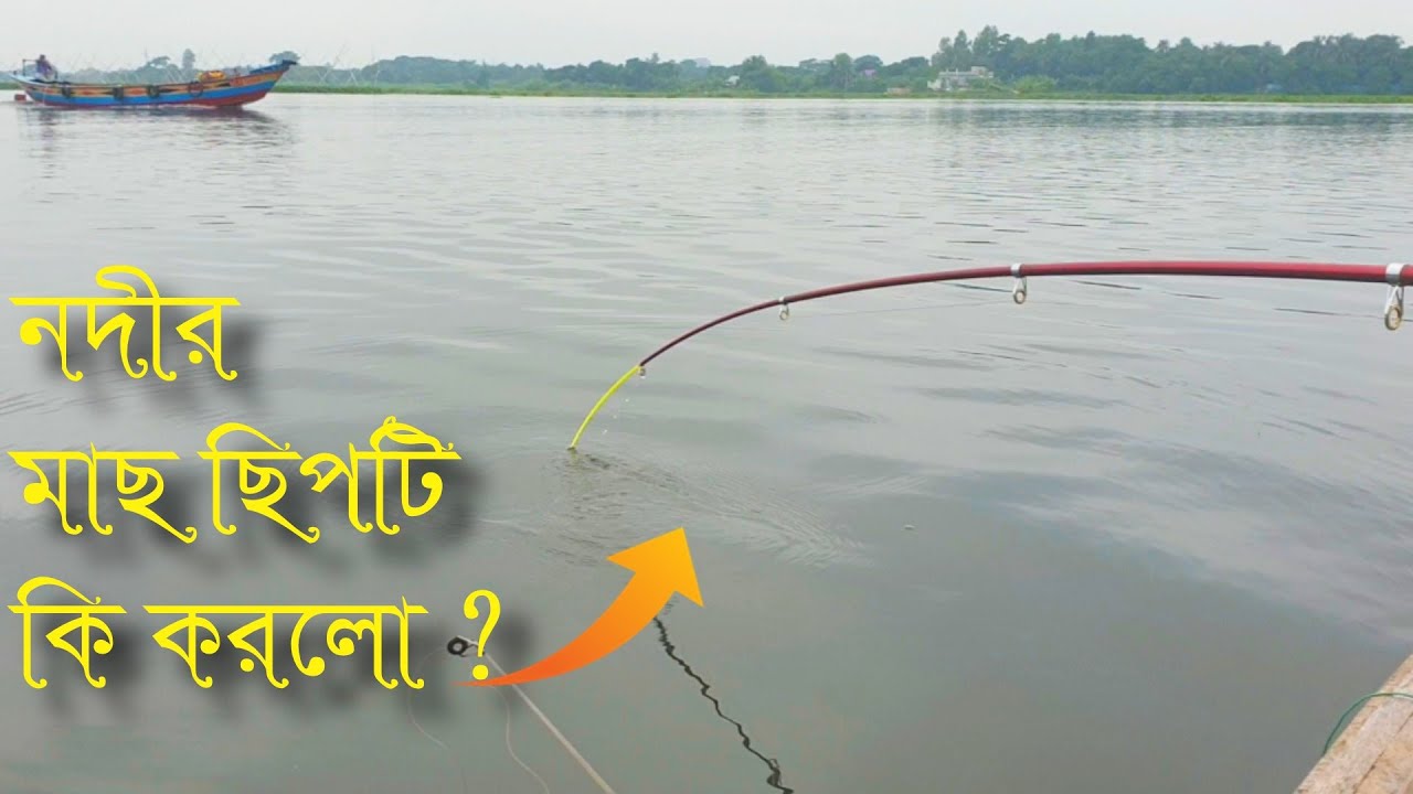 Unbelievable Fishing Video | মেঘনা নদী থেকে টানে টানে মাছ ধরলাম