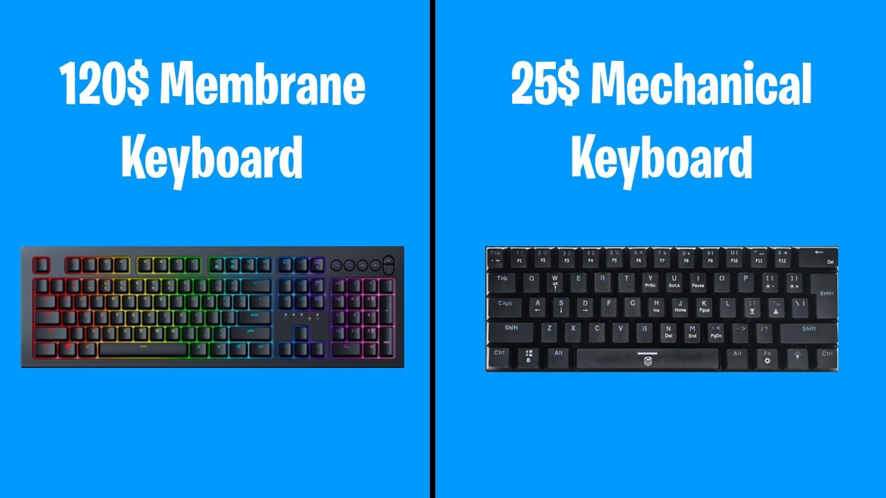 Cheap Mechanical Keyboard vs Expensive Membrane Keyboard