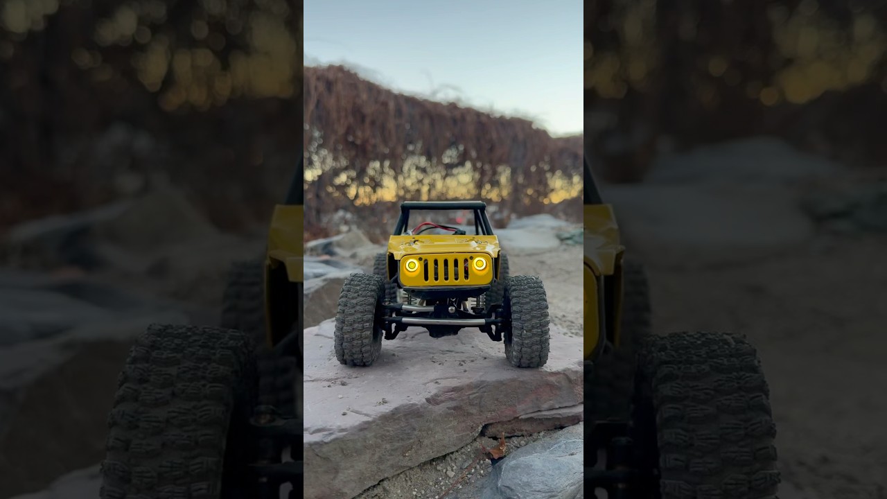 Reefs 99 micro in the trx4m ripper build! 