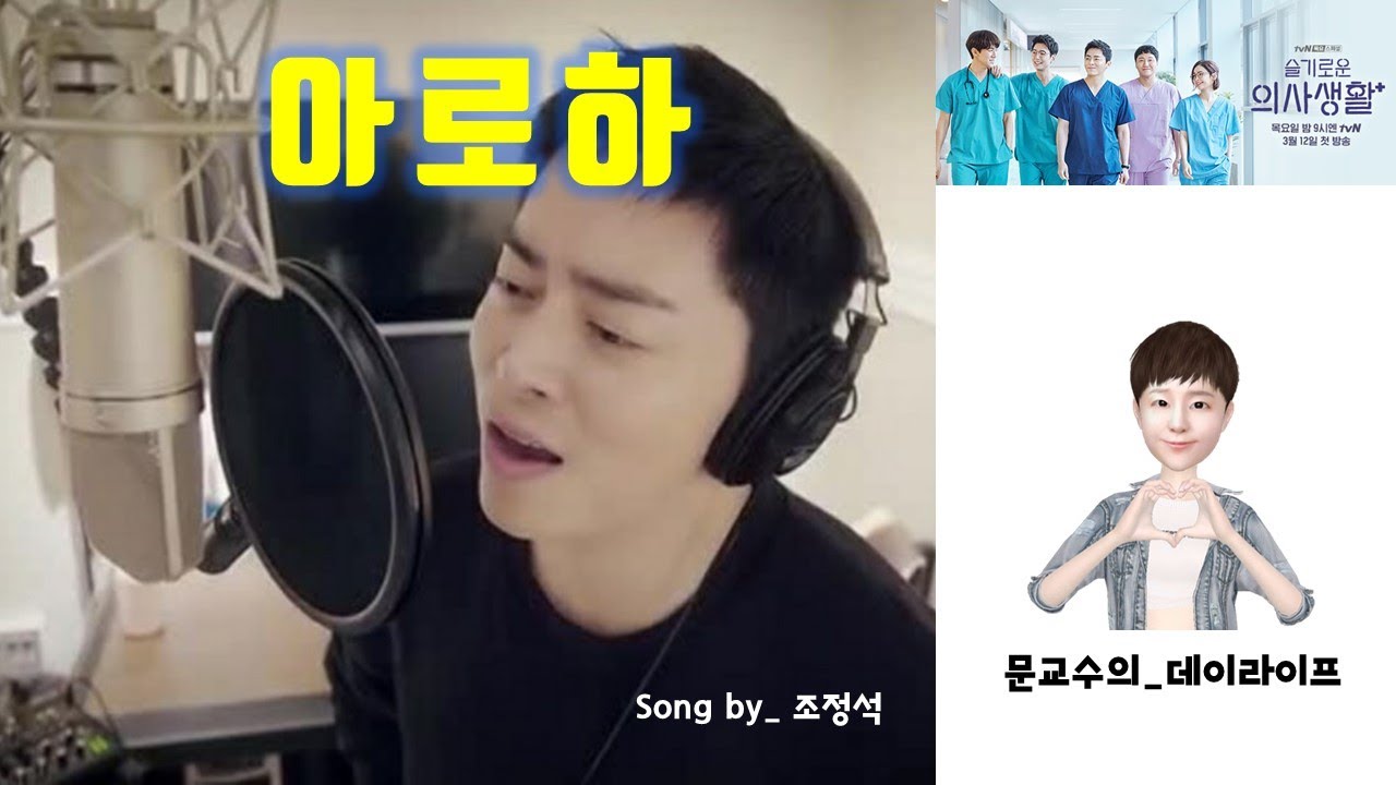 [가사] 아로하_슬기로운 의사생활ost  Song by 조정석