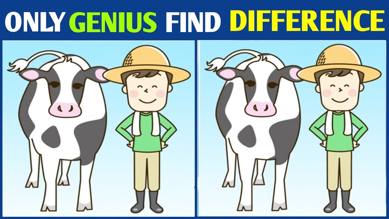 Spot The Difference: Can You Find Them All? [ Brain Game ] | Riddle Hunt