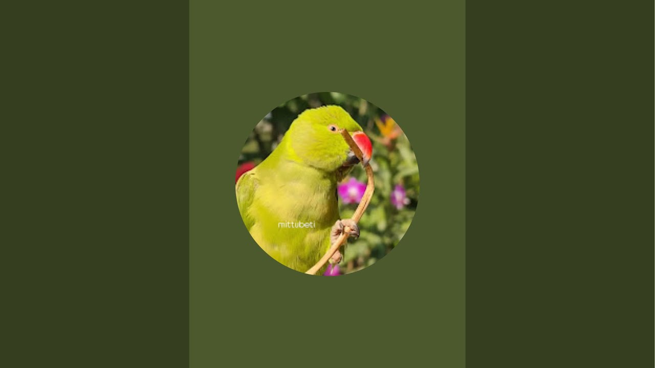 Mittu Beti Live  Aaj Ka Mood Alag Hi Hai!