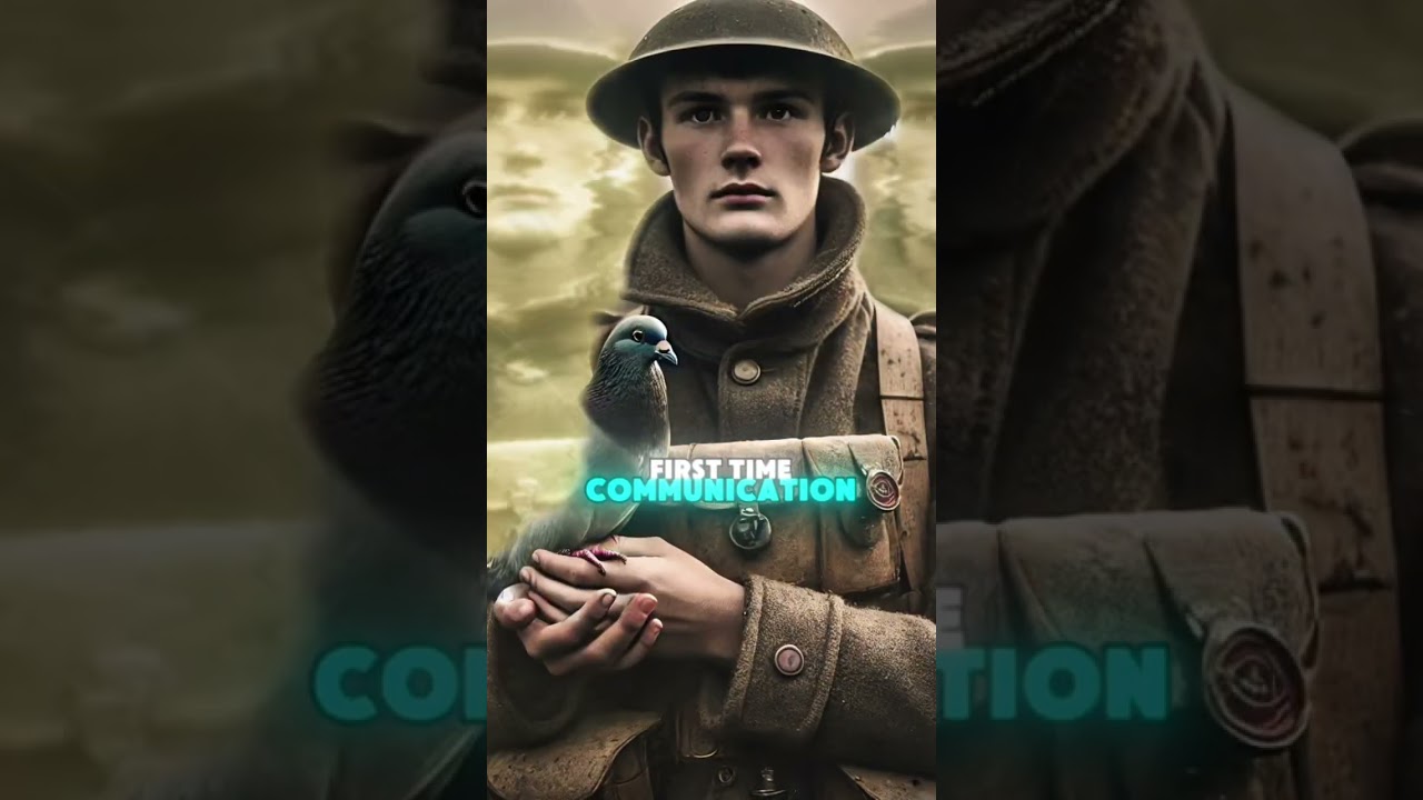 Shocking World War One facts 
