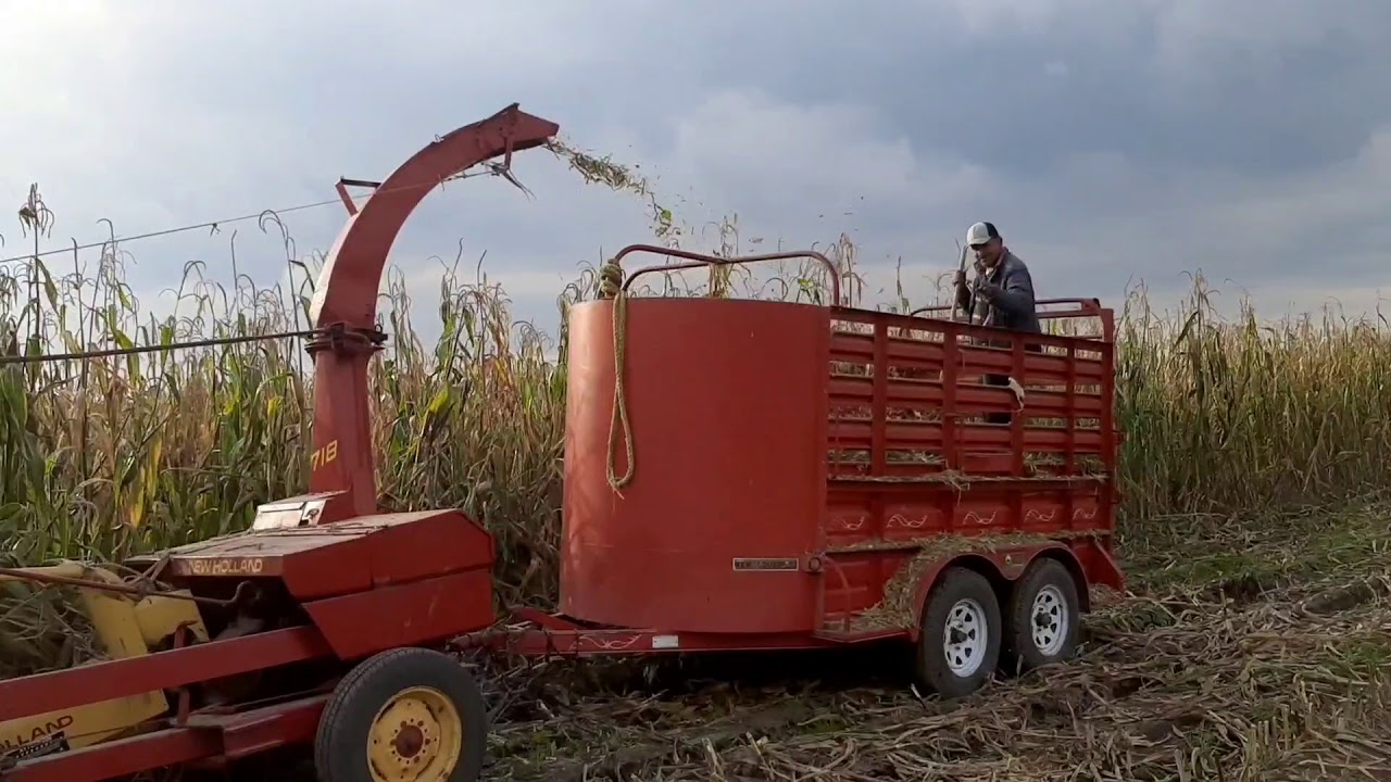 Ford 6600 ensilando con New holland 718