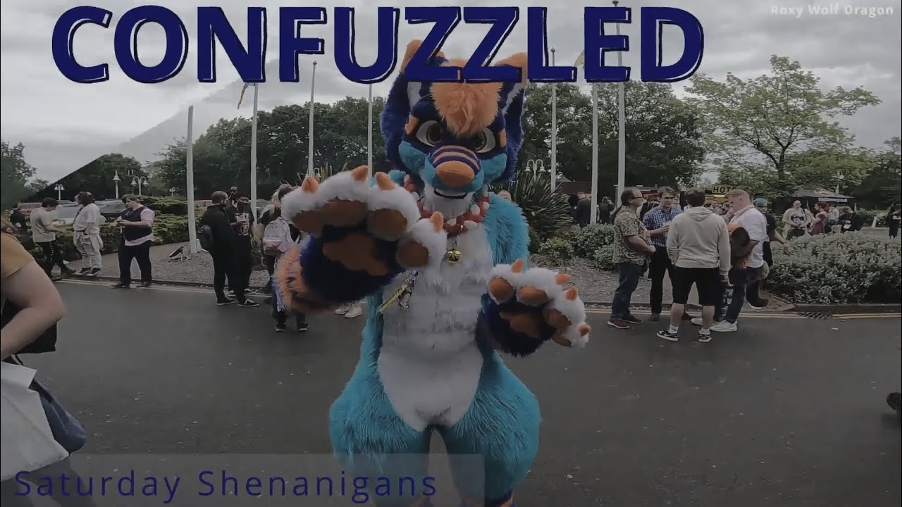 Confuzzled 25:  Saturday Shenanigans
