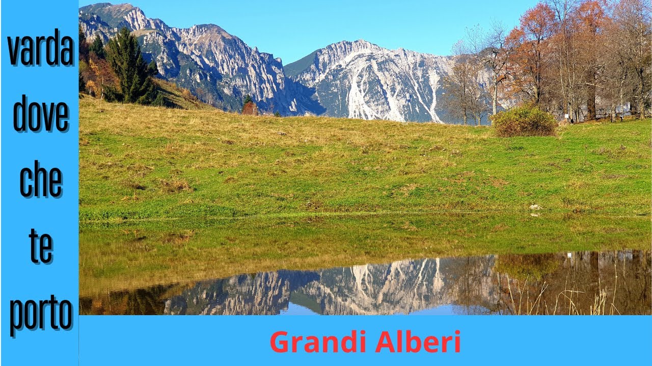 Sentiero dei Grandi Alberi,Altopiano delle Montagnole.