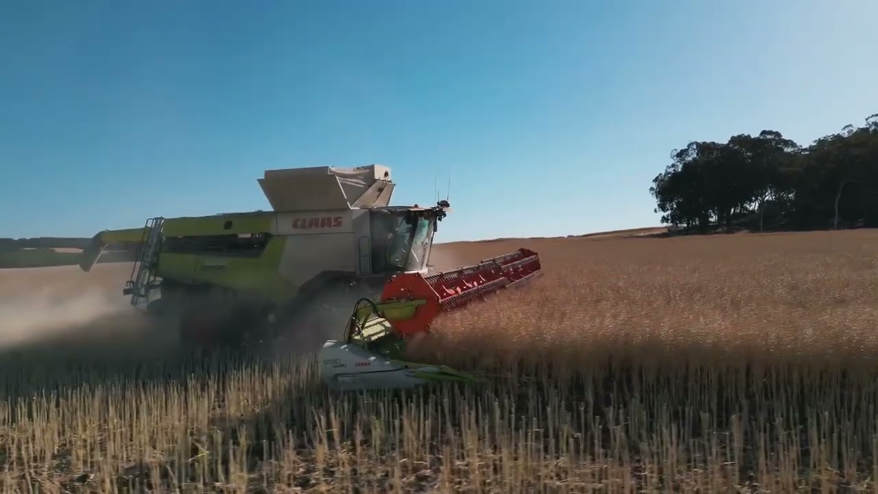 CLAAS LEXION  - Jarrod Clarke | CLAAS Harvest Centre