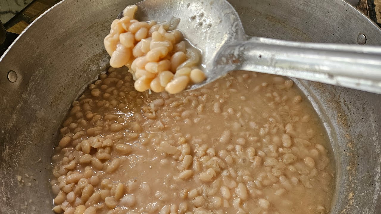 EN VIVO! HABICHUELAS O FRIJOLES BLANCO CON SAL Y AZUCAR