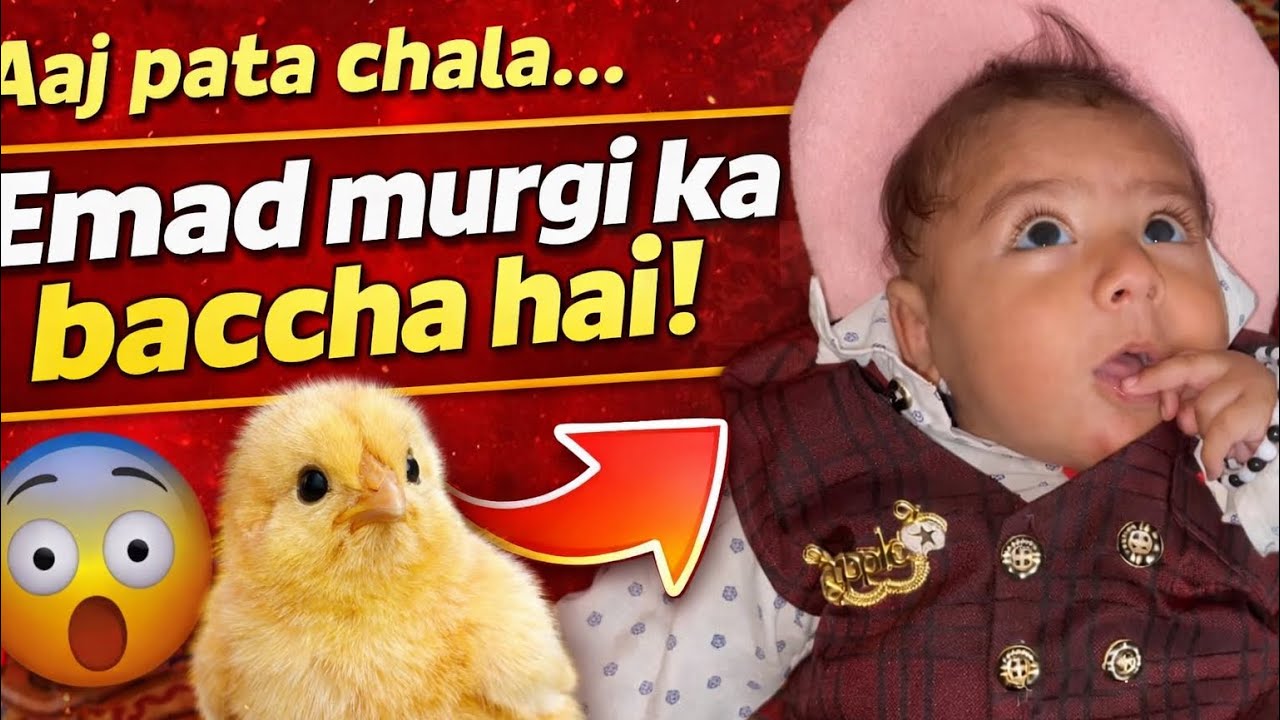 😳 Aaj Sach Samne Aa Gaya… Emad Murgi Ka Baccha Nikla! 🐥 #Emad#EmadVlog#BabyVlog#CuteBaby