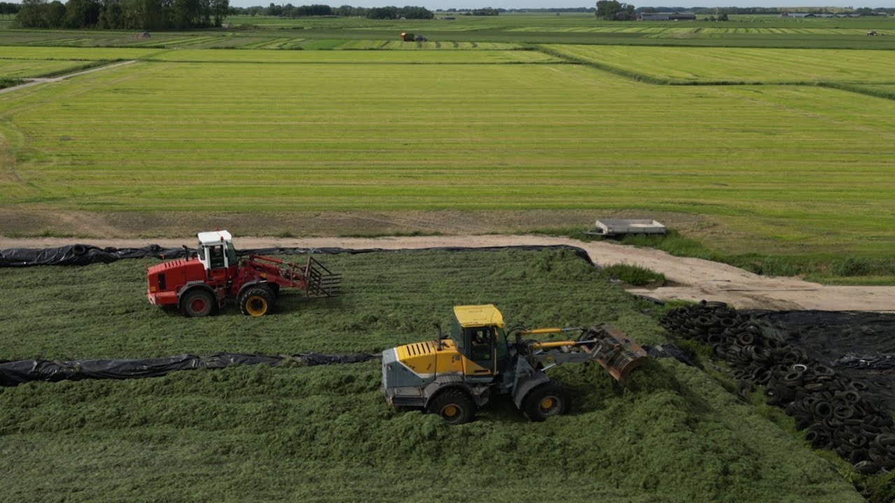 Melkveebedrijf Mts Boer, 140 hectare gras inkuilen met o.a. 2x Werklust, Schuitemaker en meer!
