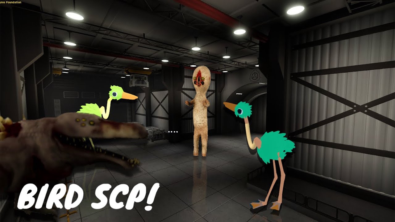 Roblox BIRD SCP - NEW Trailer | Roblox BIRDS community&rsquo;s New Game Update